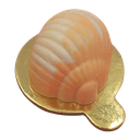 Cashew