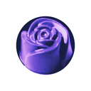 Passion fruit - velvet box