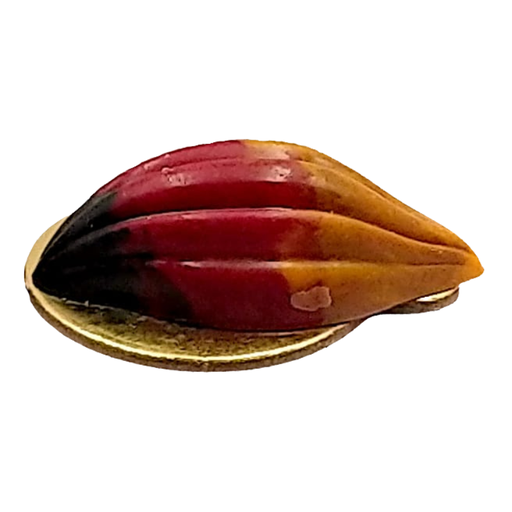 Hazelnut - velvet box
